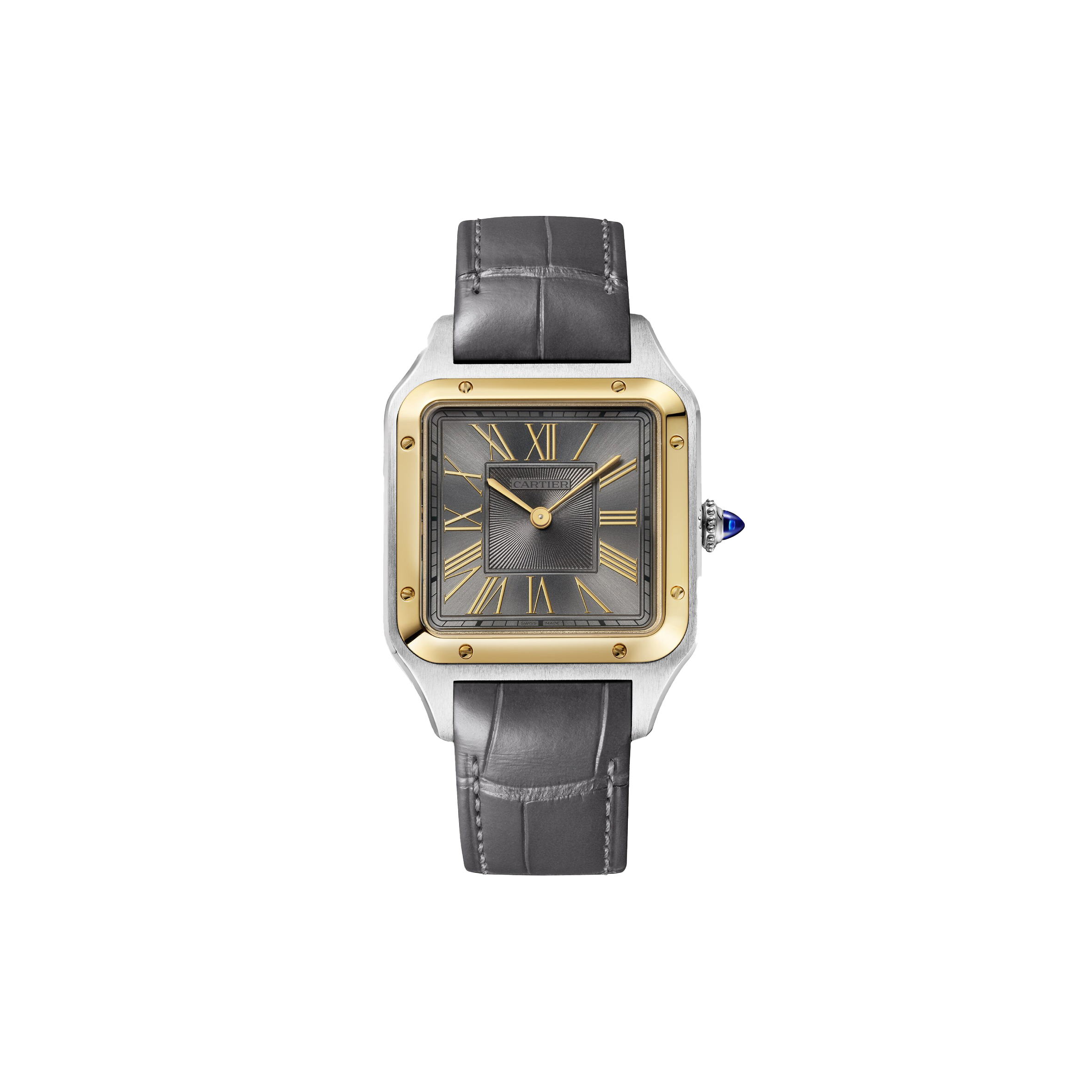CARTIER SANTOS-DUMONT 44MM WATCH W2SA0028
